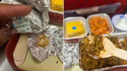 air india flight food- India TV Hindi