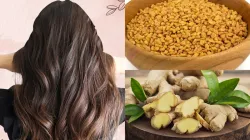 Homemade hair oil- India TV Hindi