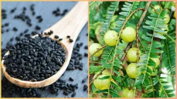 amla kalonji hair oil- India TV Hindi