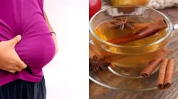 cinnamon water benefits for weight loss- India TV Hindi