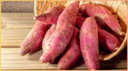 sweet potato- India TV Hindi