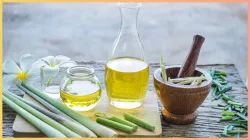 lemongrass oil for hair- India TV Hindi