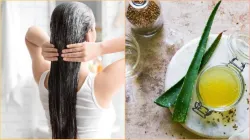  aloe vera and flaxseed hair mask- India TV Hindi