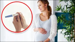 Pregnancy First Trimester - India TV Hindi