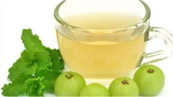 Amla Tea- India TV Hindi