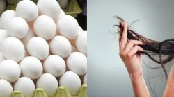 Egg hair mask - India TV Hindi