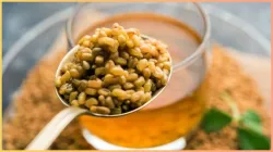 boiled methi seeds- India TV Hindi