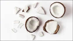 Raw Coconut- India TV Hindi