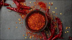 Red Chilli- India TV Hindi