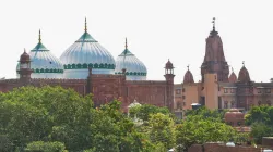 Krishna Janmbhoomi, Shahi idgad masjid- India TV Hindi