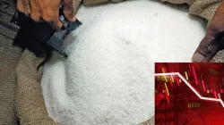 Sugar Stocks - India TV Paisa