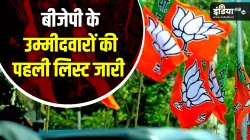 BJP- India TV Hindi