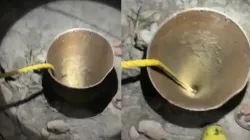 child fell into a 40 foot deep borewell- India TV Hindi