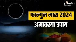 Amavasya Upay 2024- India TV Hindi