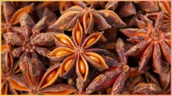 star anise in diabetes- India TV Hindi