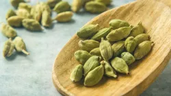 Green cardamom for Uric Acid - India TV Hindi