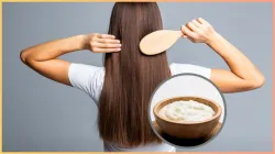 dahi with coffee for hair- India TV Hindi