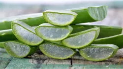 Aloe vera for skin glow- India TV Hindi