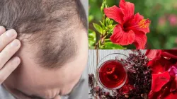 Hibiscus flower For Hair - India TV Hindi