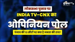 INDIA TV-CNX Opinion Poll- India TV Hindi