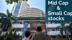 Mid and Smallcap share - India TV Paisa