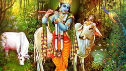 Lord Krishna- India TV Hindi