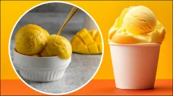 Mango Ice cream- India TV Hindi