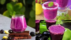 Jamun Shots Drink Recipe- India TV Hindi