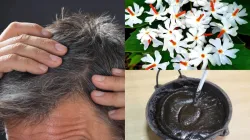 Natural hair dye Remedy - India TV Hindi