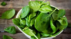 Spinach benefits - India TV Hindi