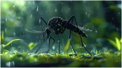 Monsoon Diseases- India TV Hindi