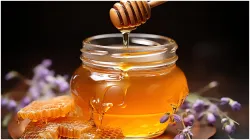 Honey face packs for glowing skin- India TV Hindi