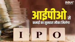 खुदरा निवेशकों के लिए न्यूनतम लॉट साइज 31 शेयर है।- India TV Paisa