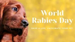 World Rabies Day 2024- India TV Hindi