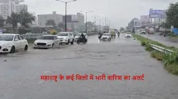 maharashtra rain- India TV Hindi