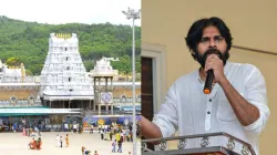 Pawan Kalyan Tirupati Temple Laddu- India TV Hindi