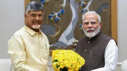 Chandrababu Naidu haryana election- India TV Hindi