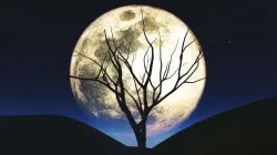 Full Moon 17 October - India TV Hindi