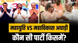 What is Mahayuti and Mahavikas Aghadi Which parties are included in both of these- India TV Hindi