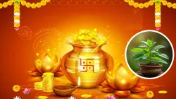 Dhanteras 2024- India TV Hindi