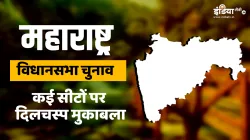 Maharashtra Elections- India TV Hindi