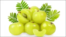 How To Consume Amla- India TV Hindi