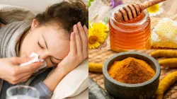 Turmeric And Honey Benefits- India TV Hindi