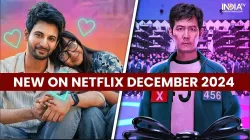 Netflix- India TV Hindi