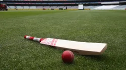 Cricket Bat And Ball- India TV Hindi