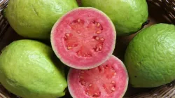 health benefits of eating guava in winter- India TV Hindi