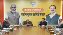 BJP CEC Meeting- India TV Hindi