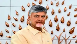 chandrababu naidu, andhra pradesh- India TV Hindi