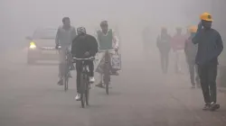 Delhi NCR cold- India TV Hindi