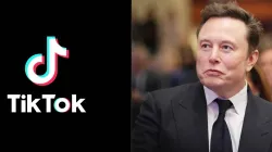 Elon Musk, TikTok- India TV Hindi